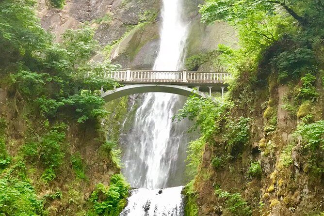 Private - 1/2 day Columbia River Gorge & Waterfalls Tour From Portland - Why Not Driving Makes the Gorge Feel Better