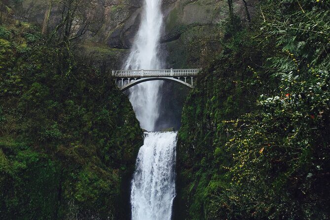 Private - 1/2 day Columbia River Gorge & Waterfalls Tour From Portland - Latourell Falls: Short Stop, Easy Win