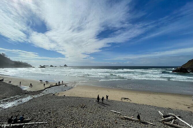 Private Oregon Coastal Tour to Cannon Beach and Haystack Rock - Oswald West State Park: Rainforest Trails and a Secluded Sandy Stretch