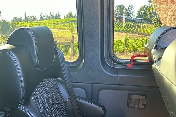 Private Oregon Wine Tour - Bring Up To 10 People - Three Wineries - What “private and professional” looks like on the road