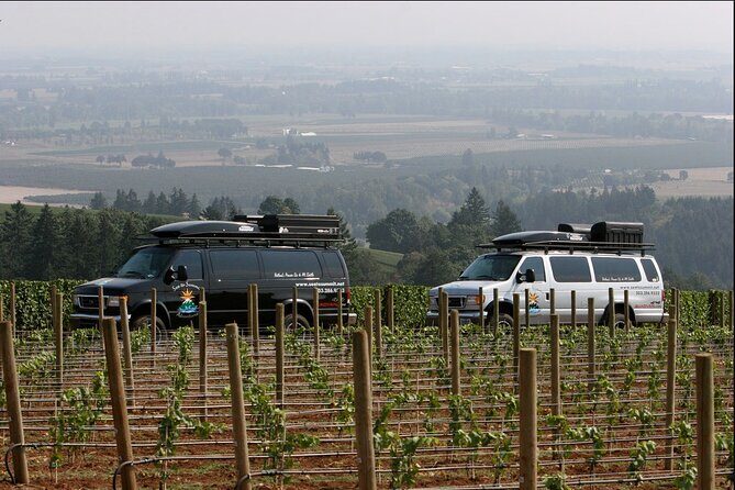 Private Willamette Valley Wine Tour from Portland (All tasting fees included) - A Stop You Can Anchor On: Willamette Valley and the Tasting Rhythm