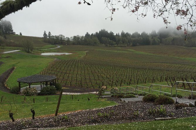 Private - Willamette Valley Wine Tour From Portland (tasting fees included) - Pickup in Pioneer Square and the 4x4 Sprinter Advantage
