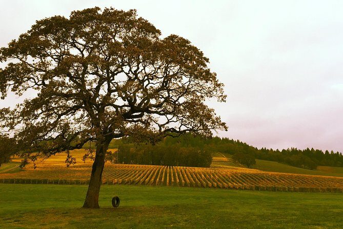 Private - Willamette Valley Wine Tour From Portland (tasting fees included) - Safety and Timing: Let Someone Else Do the Driving