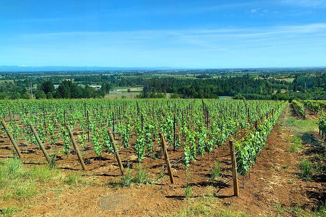 Private Wine Excursion Willamette Valley, Oregon - Wine Tour - Newberg Boutique Winery: Handcrafted Feel, Beautiful Terraces, and Real Stories