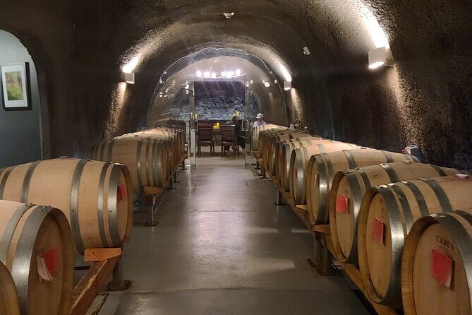 Private Wine Tours - Three-Winery Willamette Valley Routing (and How It Feels On the Ground)