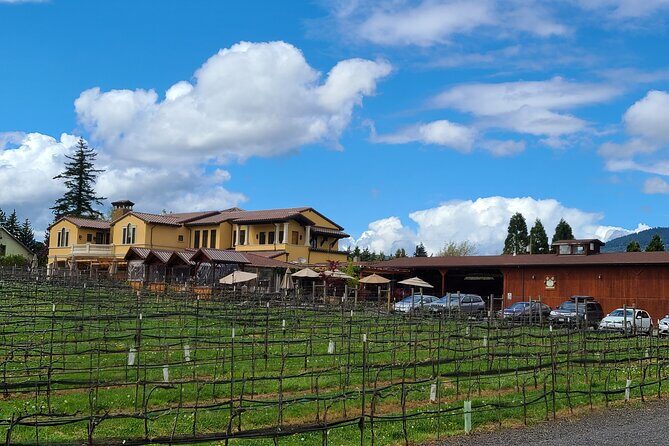 Private Wine Tours - From Patricia Green Cellars to Alexana: What Tastings Look Like