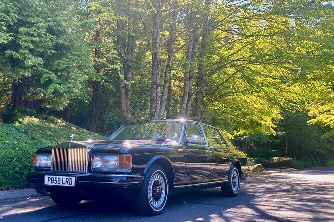 Rolls-Royce & Bentley Chauffeured All-inclusive Wine Tasting Tour - The included snack: a small detail that makes a big difference