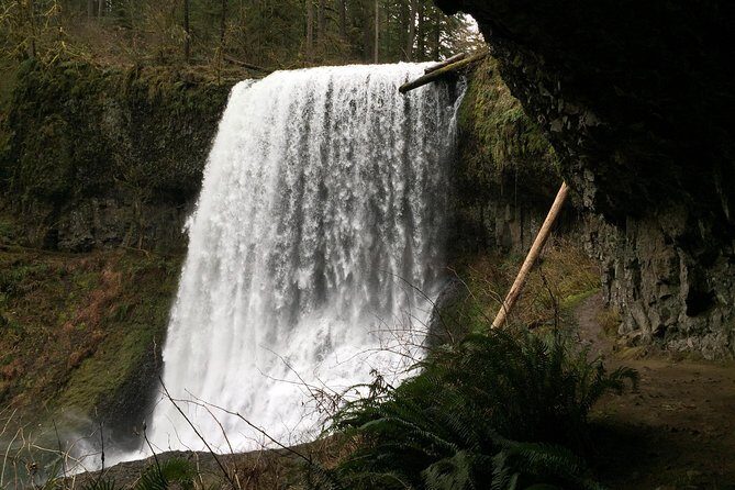 Silver Falls Hike - Silver Falls Canyon Trail: why this hike feels different with a guide