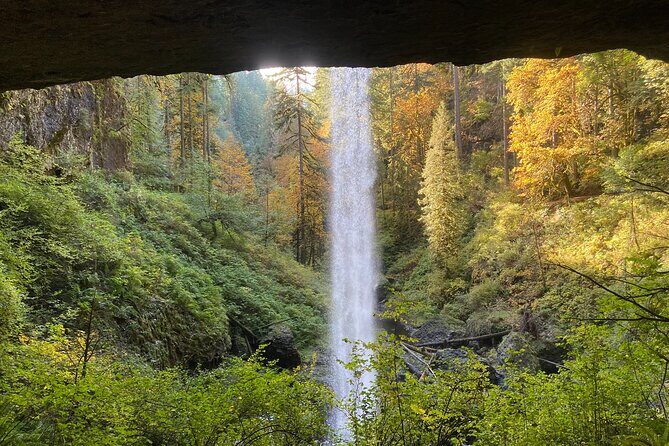 Silver Falls Waterfall Hiking Tour from Portland - Choosing Your Hike: Short Loops vs. a 5-Mile Point-to-Point