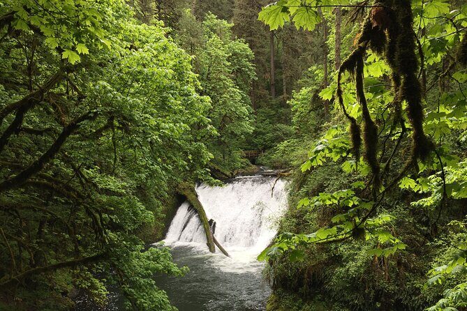 Silver Falls Waterfall Hiking Tour from Portland - The Two Town Stops That Actually Add Character