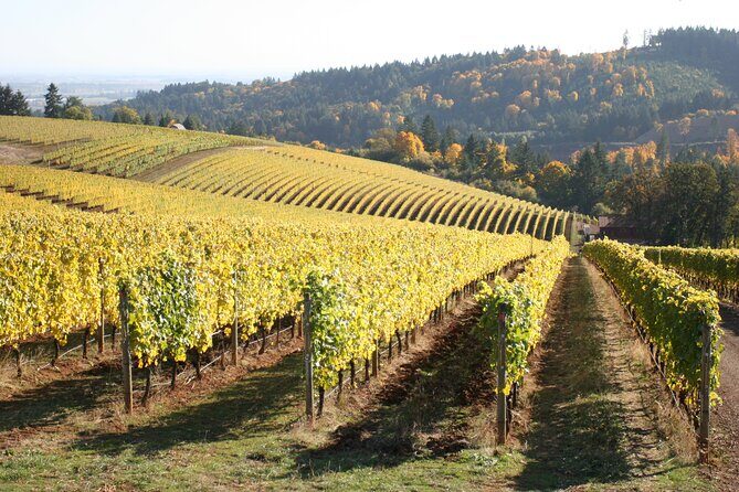 Small Group: Willamette Valley Wine Tour From Portland (Tasting Fees Included) - Your first stop: Sea to Summit on SW Broadway and getting oriented fast