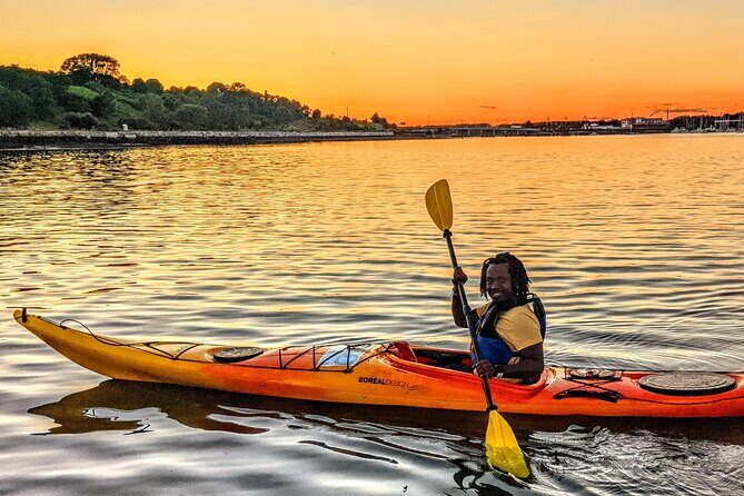 Sunset Sea Kayak Tour of Casco Bay - Wildlife Sightings: Seals, Birds, and the Stuff You Don’t Normally Notice