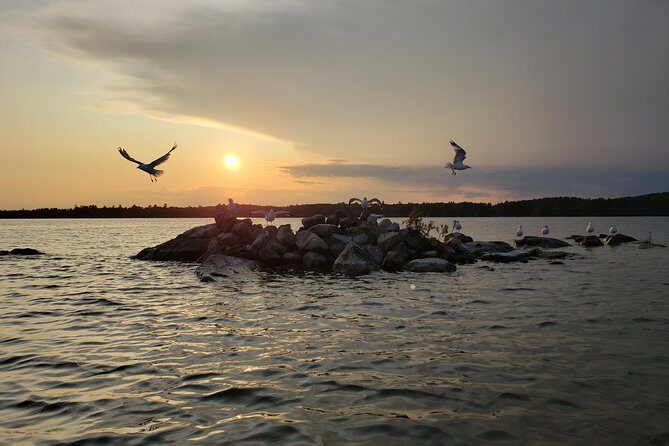 Sunset Tour by Kayak on Sebago Lake Maine - Who This Tour Is Best For (and Who Might Want to Skip It)