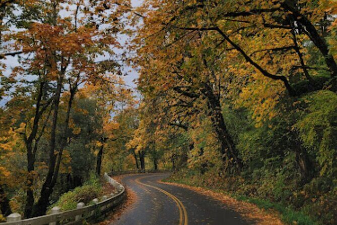 Sunset Tour of Multnomah Falls plus Vista House and Other Falls - Wahkeena Falls: the 0.5-mile walk to the spray