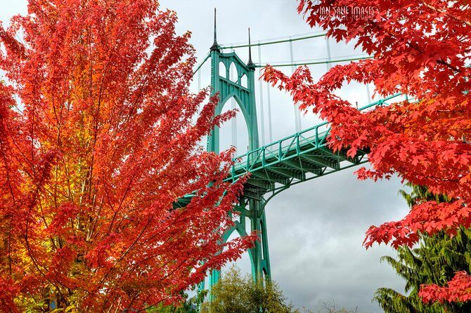 'The Best of Portland' City Tour: Small-Group Sightseeing Tour - Key highlights worth paying attention to