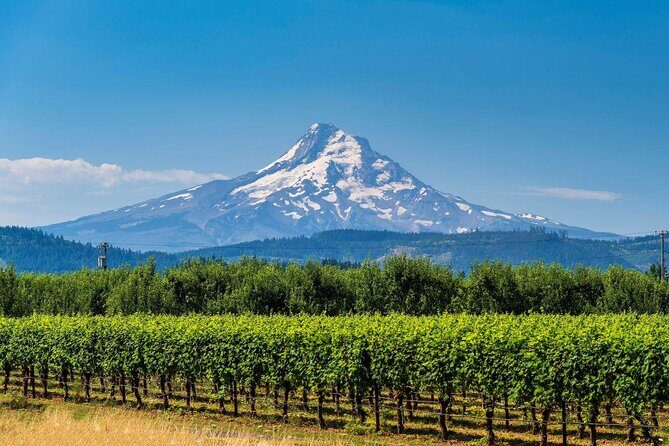 The Hood-Columbia Loop: Timberline, Orchards, and Waterfalls - Key things that make this tour work