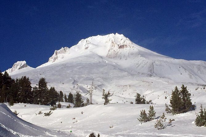 The Hood-Columbia Loop: Timberline, Orchards, and Waterfalls - A quick photo break at Timberline and the “why this stop matters”