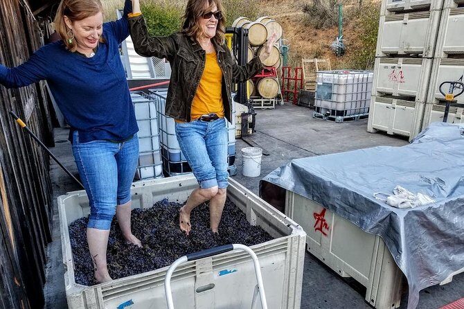 Waterfalls & Wine Tour-Multnomah Falls,Vineyards,Hood River Combo - Two wineries in one day: Anie Che Cellars and Cathedral Ridge