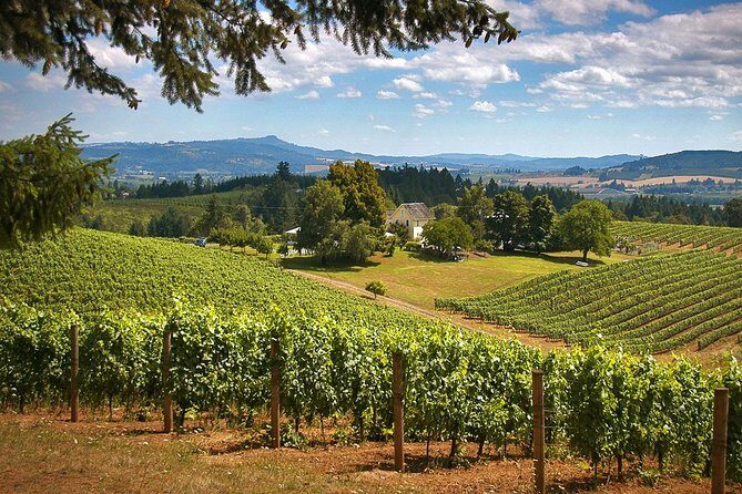 Willamette Valley Wine Tasting Tour from Portland - Key Things to Know Before You Go