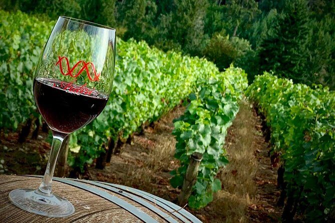 Willamette Valley Wine Tour from Portland - Price and Value: Is $145 a Good Deal for Willamette Valley?