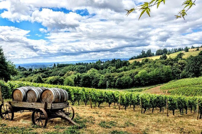 Willamette Valley Wine Tour - Full Day Tour - Door-to-door wine country starts at 10:00am