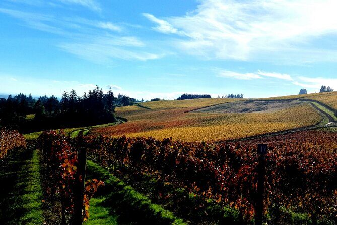 Willamette Valley Wine Tour with Lunch - How to make the most of your tasting day (without overdoing it)